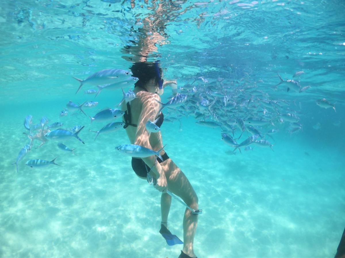 White Coral Rasdhoo Hotel Bagian luar foto