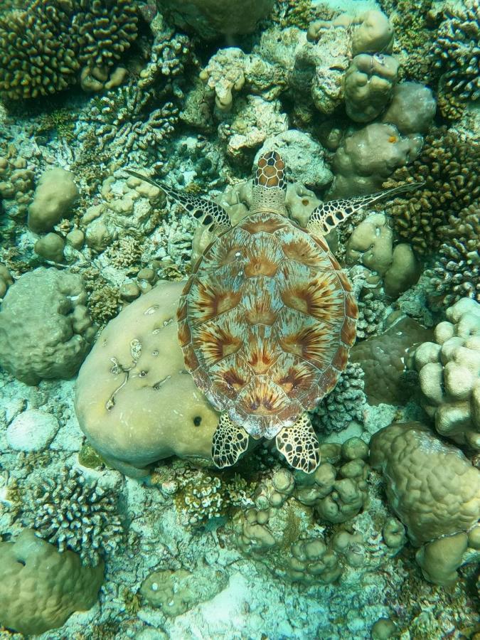 White Coral Rasdhoo Hotel Bagian luar foto
